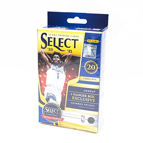 2020/21 SELECT BASKETBALL HANGER BOX